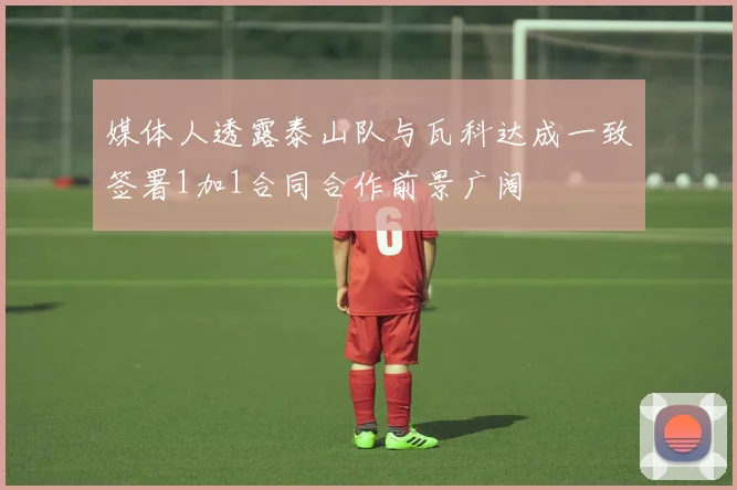 媒体人透露泰山队与瓦科达成一致签署1加1合同合作前景广阔