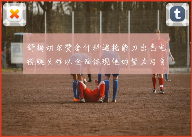舒梅切尔赞舍什科逼抢能力出色电视镜头难以全面体现他的努力与贡献